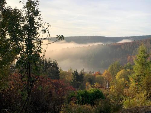 a view of a forest with fog in the distance at Landhotel Fernsicht in Winterberg