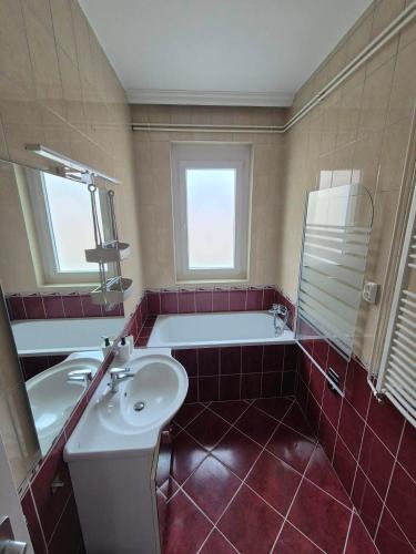 a bathroom with a bath tub and a sink at Green Terrace Residence in Zalaegerszeg