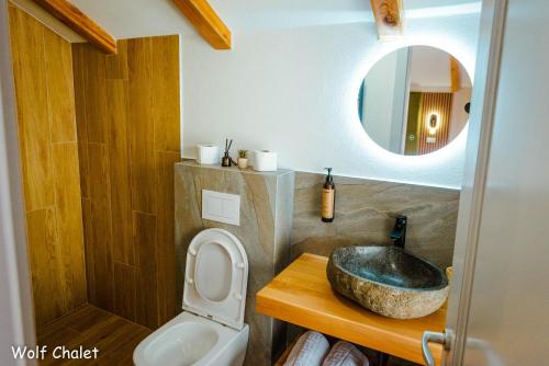 a bathroom with a sink and a toilet and a mirror at Wolf Chalet - Moieciu de Sus in Moieciu de Sus