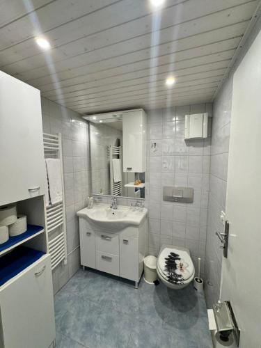 a bathroom with a sink and a toilet and a mirror at APARTMENT Alessio in Interlaken