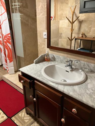 a bathroom with a sink and a mirror at COEUR CREOLE in Le Tampon