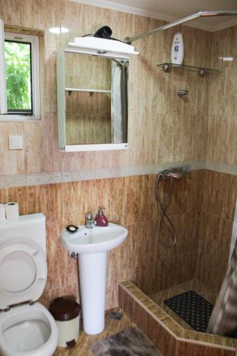 a bathroom with a toilet and a sink and a shower at Bellora Studio House in Donja Jošica