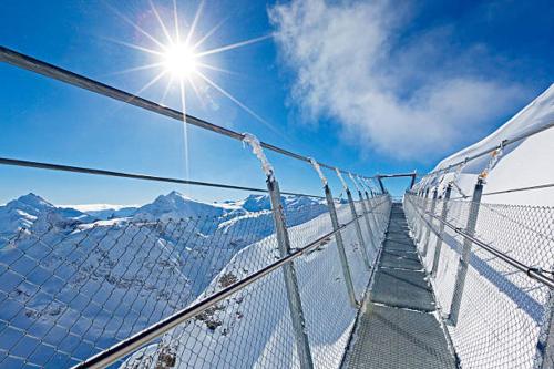 Mountain Retreat Near Titlis With Garden & Views