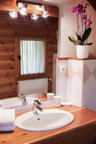 a bathroom counter with a sink and a mirror at Chalet Le Serre des Oiseaux in Saint-Chaffrey