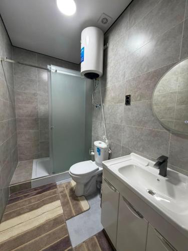 a bathroom with a toilet and a shower and a sink at Kol-Ukok Hotel in Bol'shevik