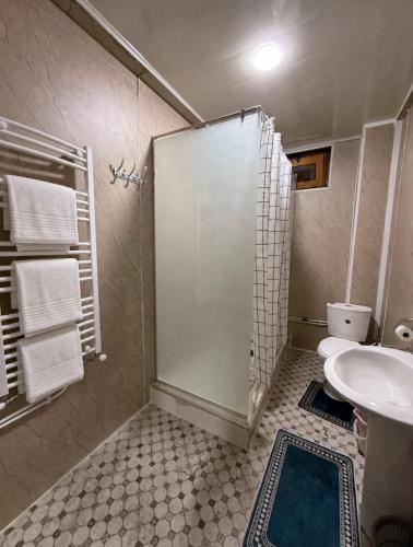 a bathroom with a shower and a toilet and a sink at Chalet Duplex N 6 avec piscine in Bouzareah