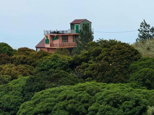 a house on top of a hill with trees at ECHO Knuckles Nature Resort in Hunnasgiriya