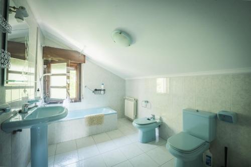 a bathroom with a blue toilet and a sink at Casa Rural El FerJo in Colunga
