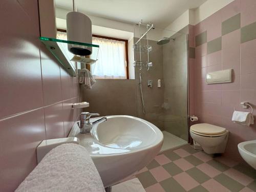 a bathroom with a sink and a toilet at Agritur Ruatti in Rabbi