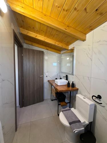 a bathroom with a toilet and a sink at Luxury Beach Villa in Skála