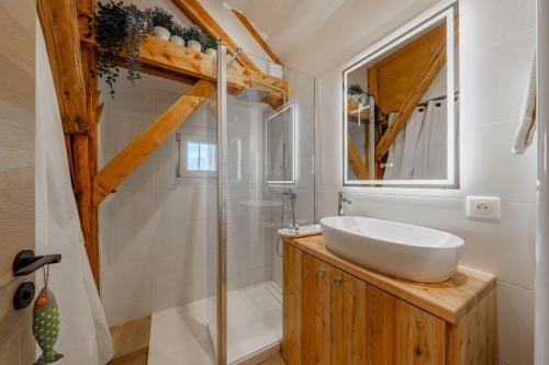 a bathroom with a sink and a shower at Cabane Malou - Avec jardin et à 200 m des pistes in La Salle-les-Alpes