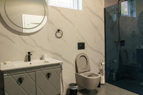 a bathroom with a toilet and a sink and a mirror at Pablo's place in Rezine