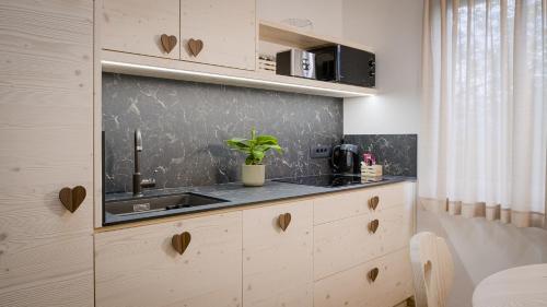 a kitchen with a sink and a counter top at Bohinj Mountain Dreams in Bohinj