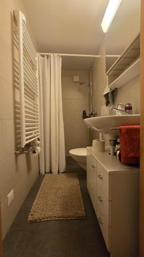 a bathroom with a sink and a shower curtain at Mutzgraben Lodge in Seeberg