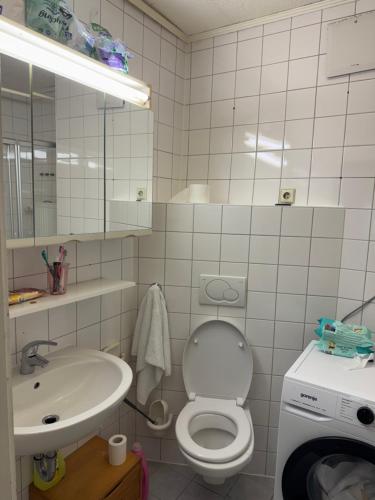 a bathroom with a toilet and a sink at Marivel Wohnung in Freudenstadt