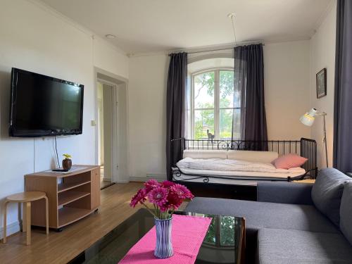 a living room with a couch and a tv at Skeppsdockans Vandrarhem in Söderköping