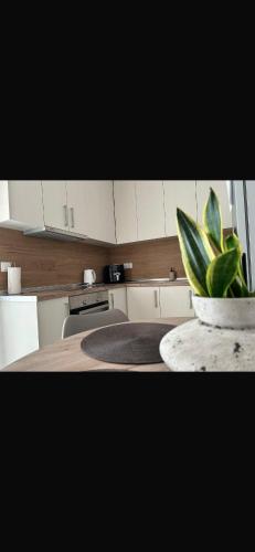 a kitchen with a table with a potted plant on it at Soleil House Thassos in Kallirákhi