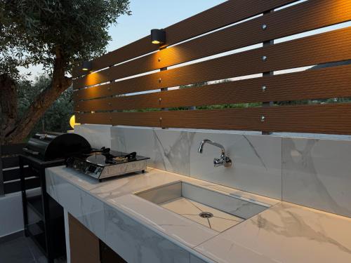 a kitchen counter with a sink and a wooden wall at Emerald Dream Oasis Studio in Skala Potamias