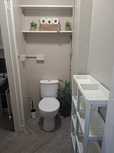 a small bathroom with a toilet and shelves at Judys View in Cashel