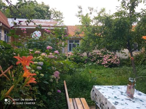 a garden with a table and some flowers at Фазенда in Gabala