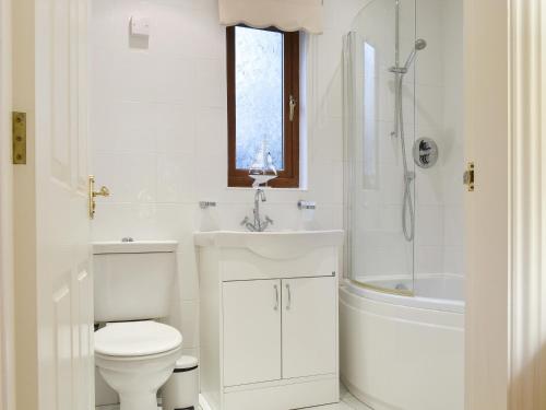 a bathroom with a toilet and a sink and a shower at Sycamore Lodge in Sewerby