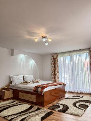 a bedroom with a bed and a window and a rug at Casa in inima Bucovinei in Câmpulung Moldovenesc