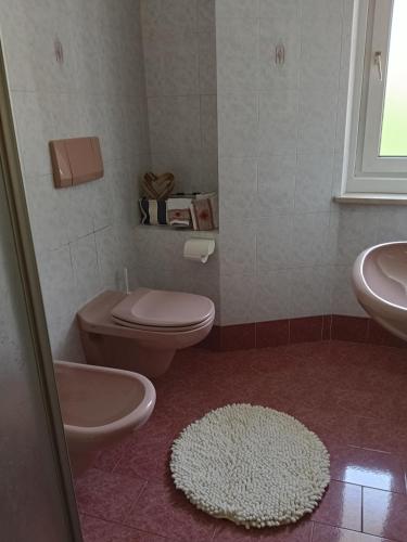 a bathroom with a toilet and a sink and a rug at Casa Defrancesco - with terrace in Moena