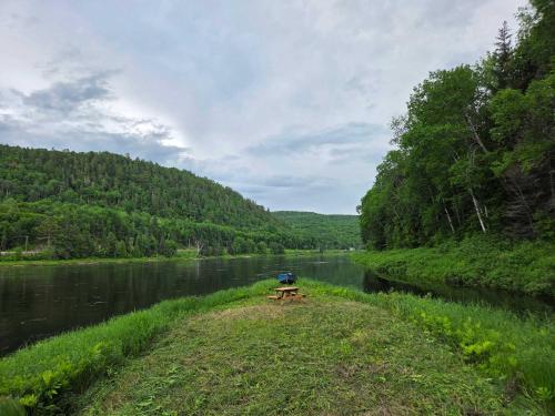 a picnic table sitting on the bank of a river at Spa Nature & Riverside Escape - Ecureuil Roux in Trois Rives