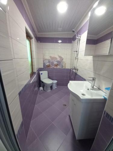 a purple bathroom with a toilet and a sink at Къща за гости "Адам и Ева" in Kavarna