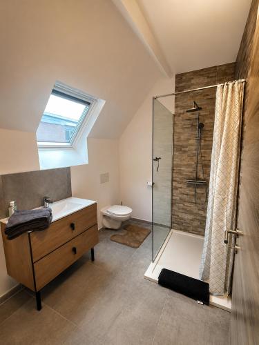 a bathroom with a shower and a sink and a toilet at Les lodges d'Eva de Chièvres in Chièvres