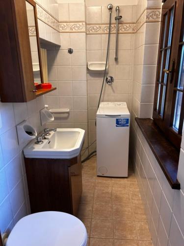 a small bathroom with a toilet and a sink at Il Brolo in Avenone