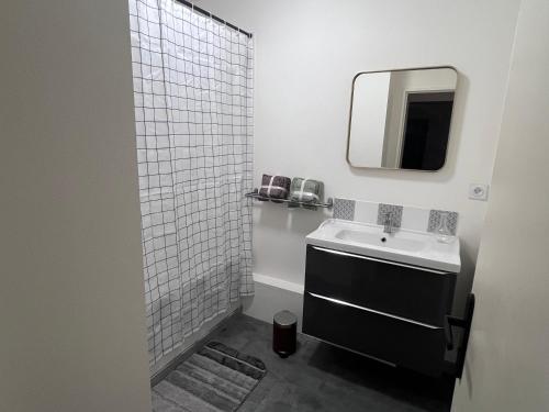 a bathroom with a sink and a mirror at Eden-Novia in Orléans