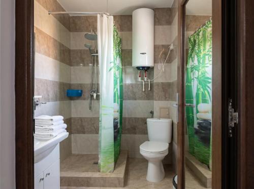 a bathroom with a toilet and a shower at Casa Lebăda in Jurilovca