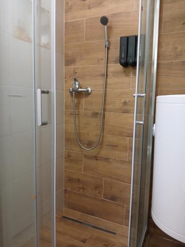 a shower in a bathroom with a glass door at Vila SVITAC Banja Vrujci in Mionica