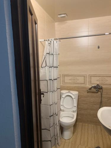 a bathroom with a toilet and a sink at LouNik Kobuleti in Kobuleti