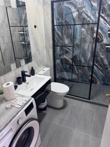 a bathroom with a toilet sink and a washing machine at Cozy Crib 2 in Mamaia Sat/Năvodari