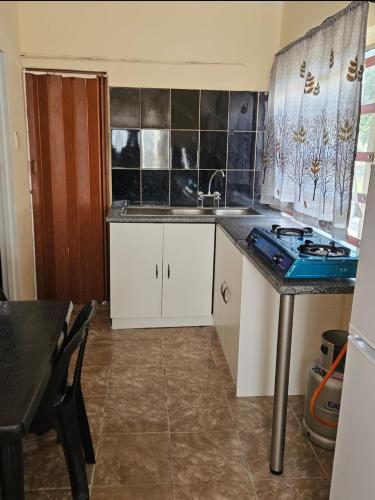 a kitchen with a sink and a counter top at Peace and Quiet accomodation in Richards Bay