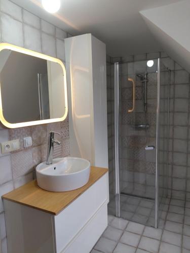 a bathroom with a sink and a shower at Apartment Robin in Karlovy Vary