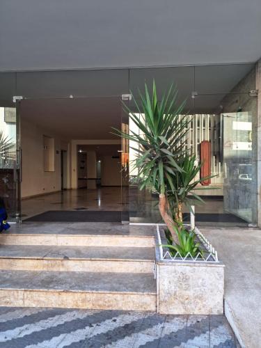 a palm tree sitting in the middle of a building at Grande Hotel Havana - Hospedagem Econômica in Uberaba