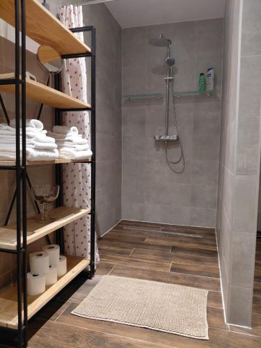 a bathroom with a shower and a walk in shower at B&B Fleur in Schoten