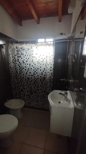 a bathroom with a toilet and a sink and a shower at Cabañas Pá Que te Vengas in Trapiche