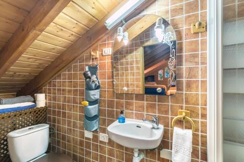 a bathroom with a sink and a toilet in a room at Buhardilla Armonia Rural in Granadilla de Abona