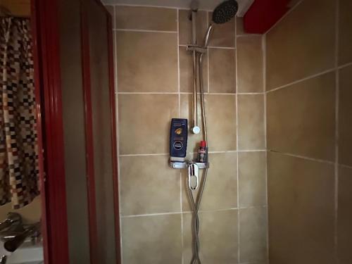 a shower in a tiled bathroom with a shower head at Ferienhaus im Wald in Edelschrott