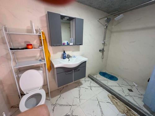 a bathroom being remodeled with a toilet and a sink at Natas Saxli in K'vemo Zhoshkha