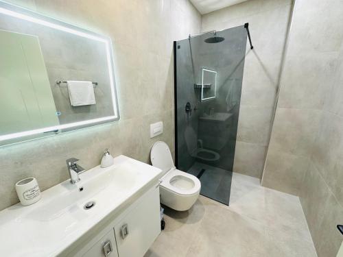 a bathroom with a shower and a toilet and a sink at Tanushi Central Apartments in Vau i Dejës
