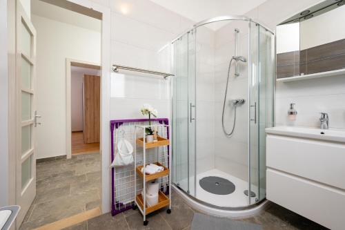 a bathroom with a shower and a sink at Kathy House in Slatine