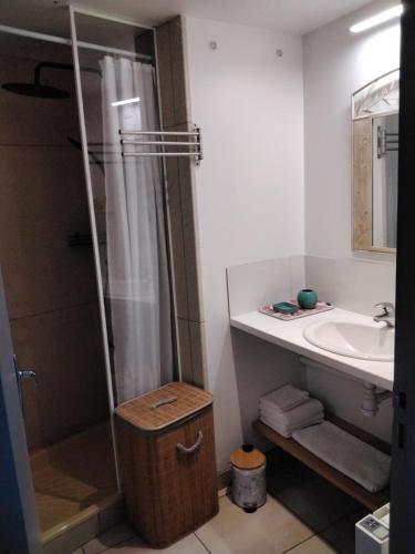 a bathroom with a shower and a sink at Maison de la Source in Leychert