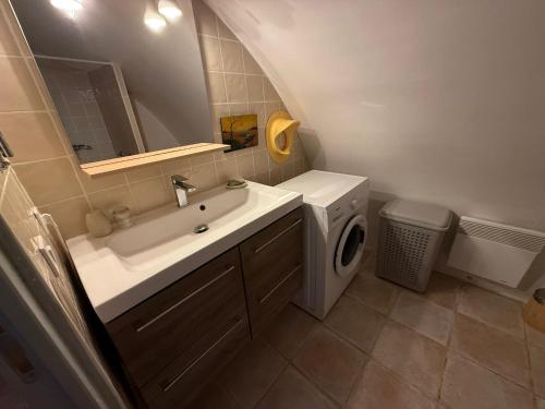 a bathroom with a sink and a washing machine at Le Balcon des Pourcelles in Les Mées