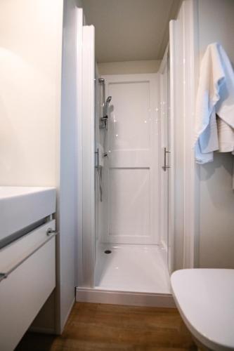 a white bathroom with a shower and a toilet at Camping Iscrixedda in Lotzorai