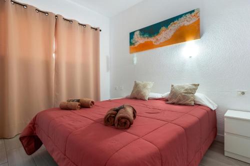 Céntrico Apartamento Con Piscina